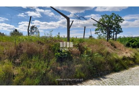 Helårsgrund i Amarante, Porto, Amarante - € 160.000 | Ref: MC09796 - foto 2