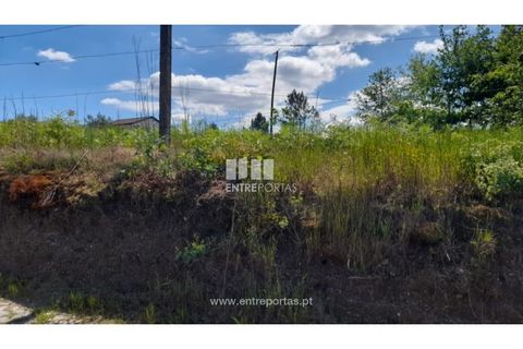Helårsgrund i Amarante, Porto, Amarante - € 160.000 | Ref: MC09796 - foto 9