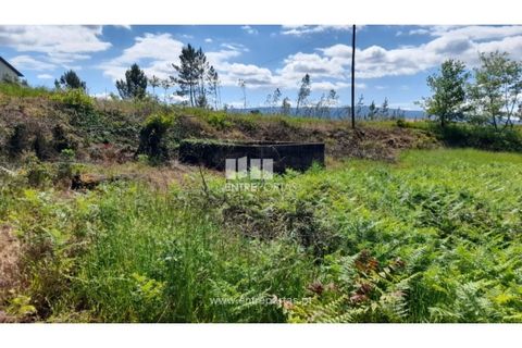 Helårsgrund i Amarante, Porto, Amarante - € 160.000 | Ref: MC09796 - foto 12