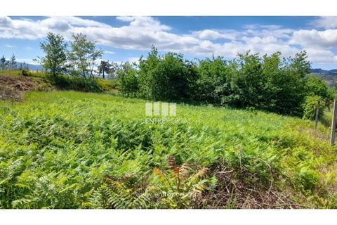Helårsgrund i Amarante, Porto, Amarante - € 160.000 | Ref: MC09796 - foto 13