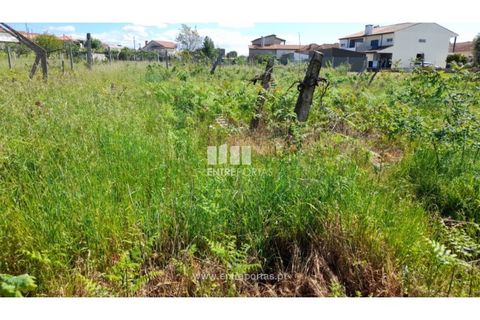 Helårsgrund i Amarante, Porto, Amarante - € 160.000 | Ref: MC09796 - foto 23