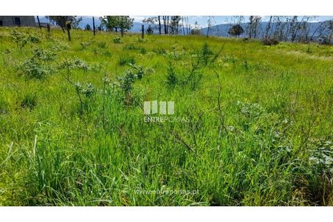 Helårsgrund i Amarante, Porto, Amarante - € 160.000 | Ref: MC09796 - foto 30
