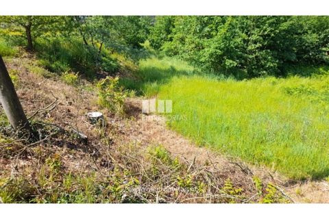 Helårsgrund i Amarante, Porto, Amarante - € 160.000 | Ref: MC09796 - foto 31