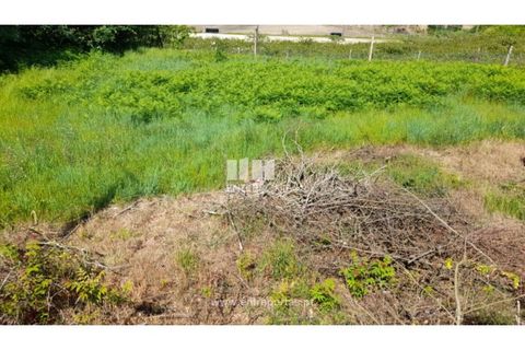 Helårsgrund i Amarante, Porto, Amarante - € 160.000 | Ref: MC09796 - foto 32