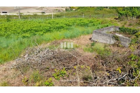 Helårsgrund i Amarante, Porto, Amarante - € 160.000 | Ref: MC09796 - foto 34