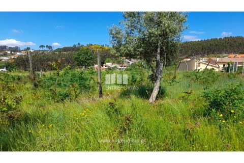 Helårsgrund i Amarante, Porto, Amarante - € 160.000 | Ref: MC09796 - foto 36