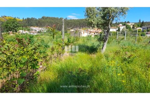 Helårsgrund i Amarante, Porto, Amarante - € 160.000 | Ref: MC09796 - foto 37