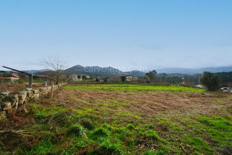 Terra a Segude, Viana do Castelo, Segude - € 66.000 | Ref: 4263 - foto 2