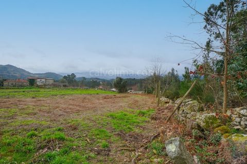 Terra a Segude, Viana do Castelo, Segude - € 66.000 | Ref: 4263 - foto 4