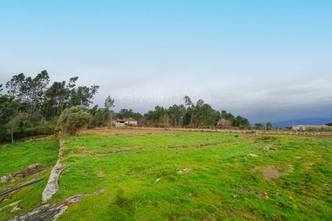 Terra a Segude, Viana do Castelo, Segude - € 66.000 | Ref: 4263 - foto 5