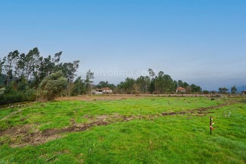 Terra a Segude, Viana do Castelo, Segude - € 66.000 | Ref: 4263 - foto 6