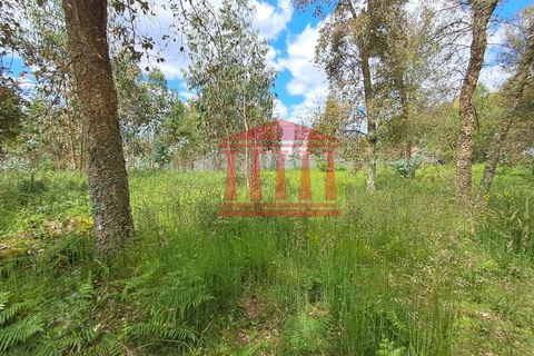 Helårsgrund i Barcelos, Braga, Barcelos - € 220.000 | Ref: 272T001052 - foto 1