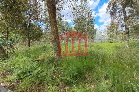 Helårsgrund i Barcelos, Braga, Barcelos - € 220.000 | Ref: 272T001052 - foto 3