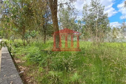 Helårsgrund i Barcelos, Braga, Barcelos - € 220.000 | Ref: 272T001052 - foto 2