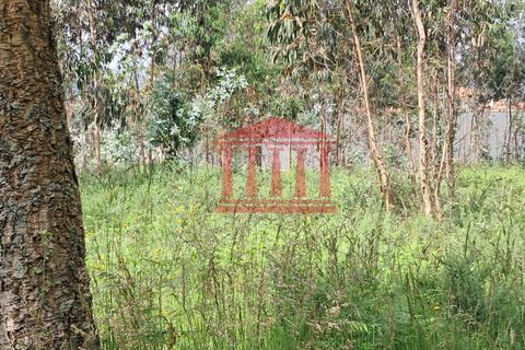 Helårsgrund i Barcelos, Braga, Barcelos - € 220.000 | Ref: 272T001052 - foto 4