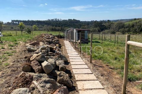 Villa a Alvorninha, Leiria, Alvorninha - € 685.000 | Ref: 1412 - foto 39