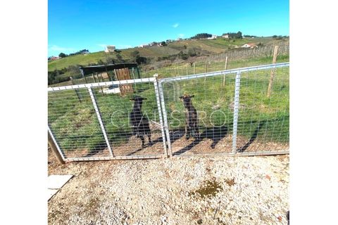 Villa a Alvorninha, Leiria, Alvorninha - € 685.000 | Ref: 1412 - foto 42