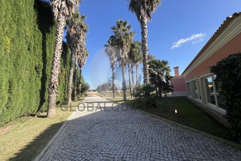 Farm i Aveiro, Aveiro, Aveiro - € 4.980.000 | Ref: QUIN3130 - foto 6