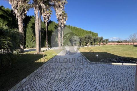 Farm i Aveiro, Aveiro, Aveiro - € 4.980.000 | Ref: QUIN3130 - foto 10