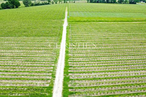 Villa i Bourg, Gironde, Bourg - € 1.400.000 | Ref: XR1091 - foto 5