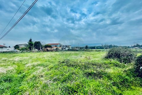 Helårsgrund i Barcelos, Braga, Barcelos - € 118.000 | Ref: NH494 - foto 14