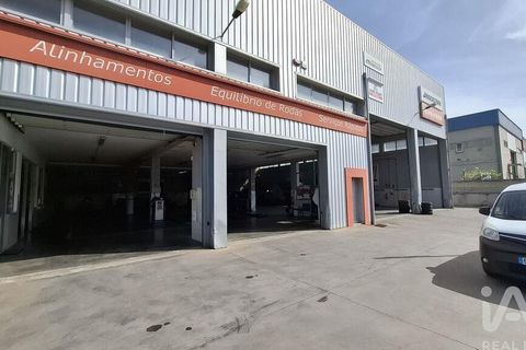Byhus i Mirandela, Braganca, Mirandela - € 1.000.000 | Ref: 140503 - foto 8