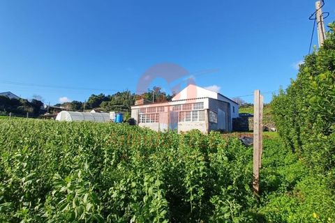 Byhus i Calheta, Sao Jorge, Calheta - € 300.000 | Ref: M978 - foto 8