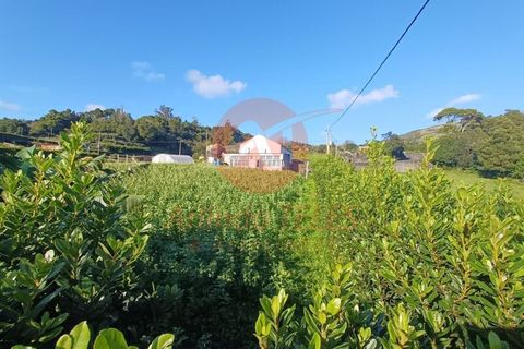 Byhus i Calheta, Sao Jorge, Calheta - € 300.000 | Ref: M978 - foto 1
