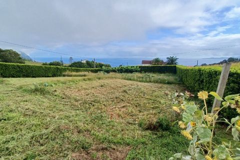 Byhus i Calheta, Sao Jorge, Calheta - € 300.000 | Ref: M978 - foto 4