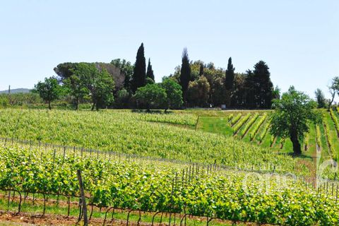 Villa i Scansano, Grosseto, Scansano - € 480.000 | Ref: 18335 - foto 7