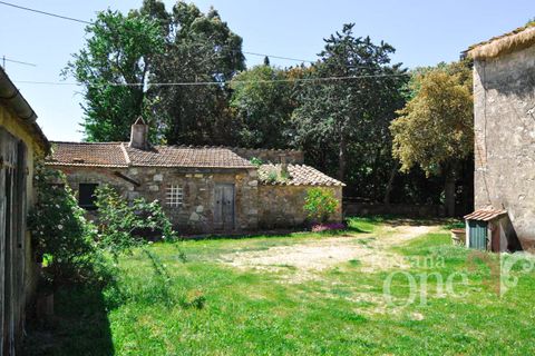 Villa i Scansano, Grosseto, Scansano - € 480.000 | Ref: 18335 - foto 8