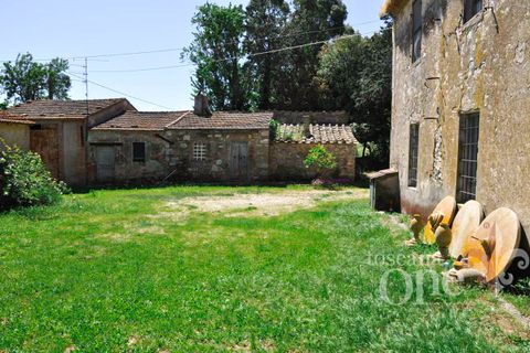Villa i Scansano, Grosseto, Scansano - € 480.000 | Ref: 18335 - foto 10