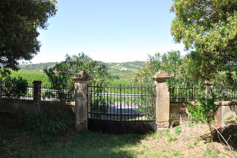 Villa i Scansano, Grosseto, Scansano - € 480.000 | Ref: 18335 - foto 11