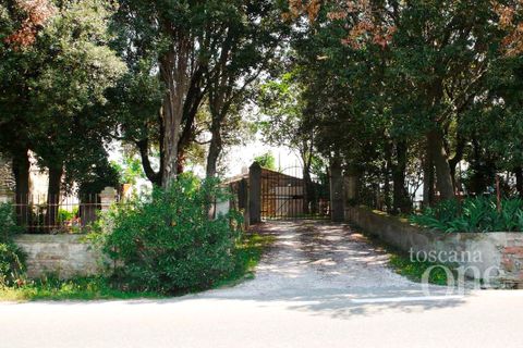 Villa i Scansano, Grosseto, Scansano - € 480.000 | Ref: 18335 - foto 12