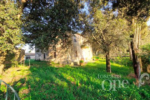Villa i Scansano, Grosseto, Scansano - € 480.000 | Ref: 18335 - foto 13