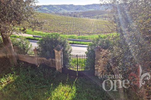 Villa i Scansano, Grosseto, Scansano - € 480.000 | Ref: 18335 - foto 15