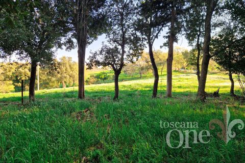 Villa i Scansano, Grosseto, Scansano - € 480.000 | Ref: 18335 - foto 20