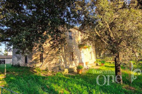Villa i Scansano, Grosseto, Scansano - € 480.000 | Ref: 18335 - foto 21