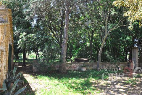 Villa i Scansano, Grosseto, Scansano - € 480.000 | Ref: 18335 - foto 22