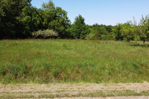 Helårsgrund i Saint-Avit, Lot-et-Garonne, Saint-Avit - € 41.000 | Ref: BVI80147 - foto 6