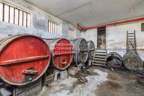 Masia a Mango, Cuneo, Mango - € 149.000 | Ref: IPI1787 - foto 42