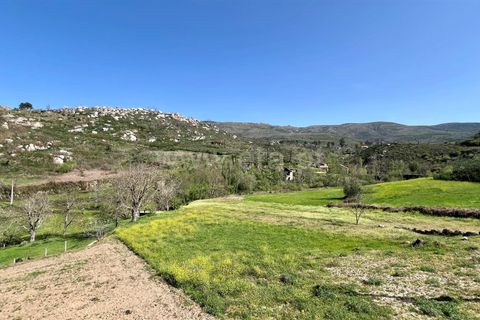 Villa i Gouveia, Guarda, Gouveia - € 47.500 | Ref: 405250029 - foto 13