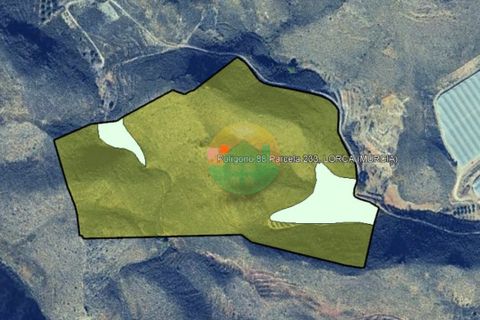 Finca i Lorca, Murcia, Lorca - € 37.000 | Ref: MORPLOT - foto 1