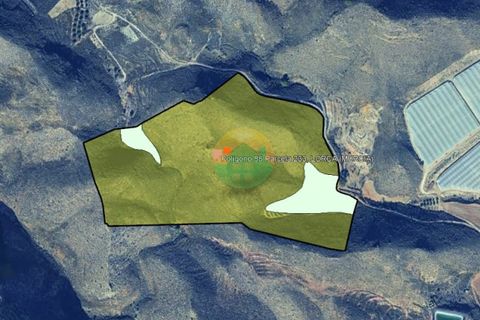 Finca i Lorca, Murcia, Lorca - € 37.000 | Ref: MORPLOT - foto 2