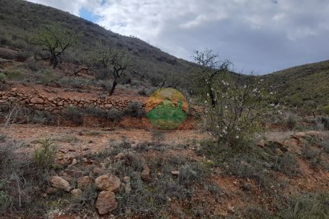 Finca i Lorca, Murcia, Lorca - € 37.000 | Ref: MORPLOT - foto 5