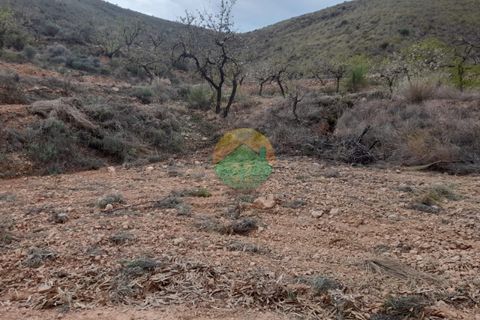 Finca i Lorca, Murcia, Lorca - € 37.000 | Ref: MORPLOT - foto 6