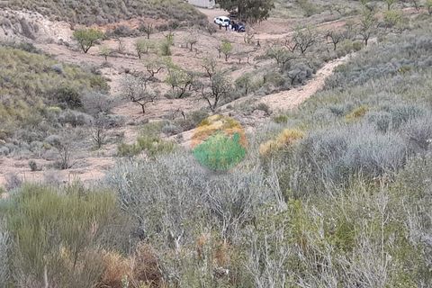 Finca i Lorca, Murcia, Lorca - € 37.000 | Ref: MORPLOT - foto 7