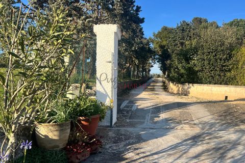 Villa i Cisternino, Brindisi, Cisternino - € 270.000 | Ref: 339 - foto 12