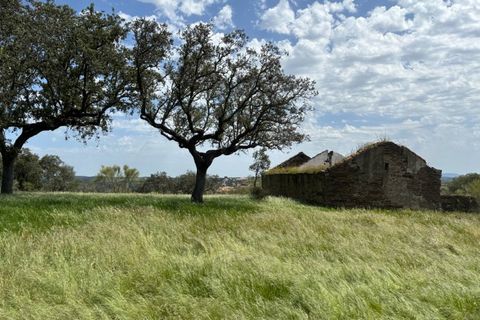 Terra a Alandroal, Evora, Alandroal - € 375.000 | Ref: SÒL_432 - foto 6