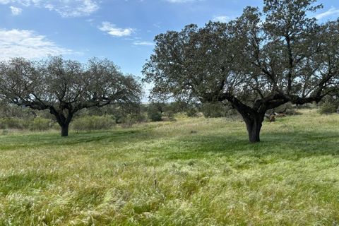 Terra a Alandroal, Evora, Alandroal - € 375.000 | Ref: SÒL_432 - foto 7
